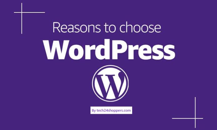 Reasons to choose WordPress over website builders